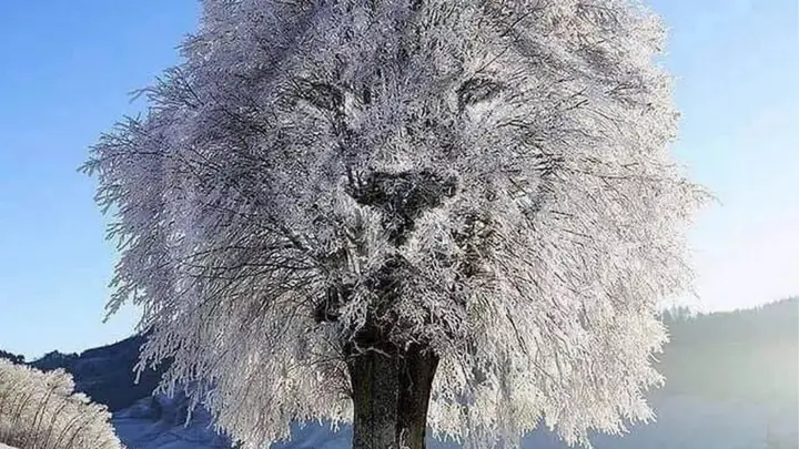 Optical Illusion Tells You If You’re a ‘Private’ or a ‘Powerful’ Person Based On What You See